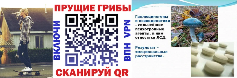 цены наркотик гидра маркетплейс Галлюциногенные грибы MAGIC MUSHROOMS Комсомольск